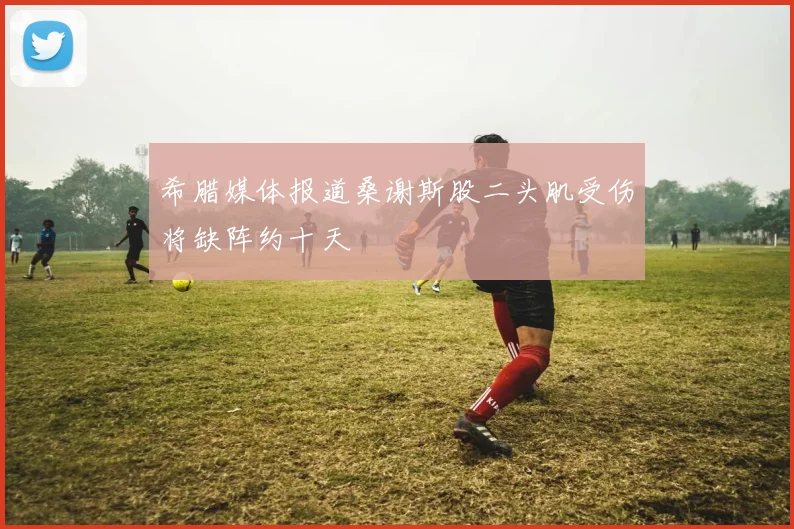 希腊媒体报道桑谢斯股二头肌受伤将缺阵约十天